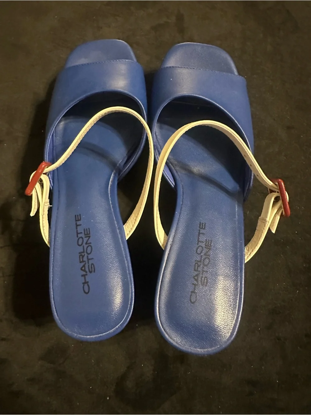 Charlotte Stone Babette size 9 Blue and Green Platform Sandals with Ivory Strap